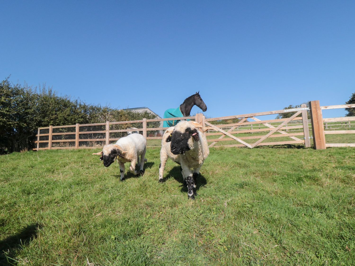 Hare's Hill, Thornton-Le-Dale