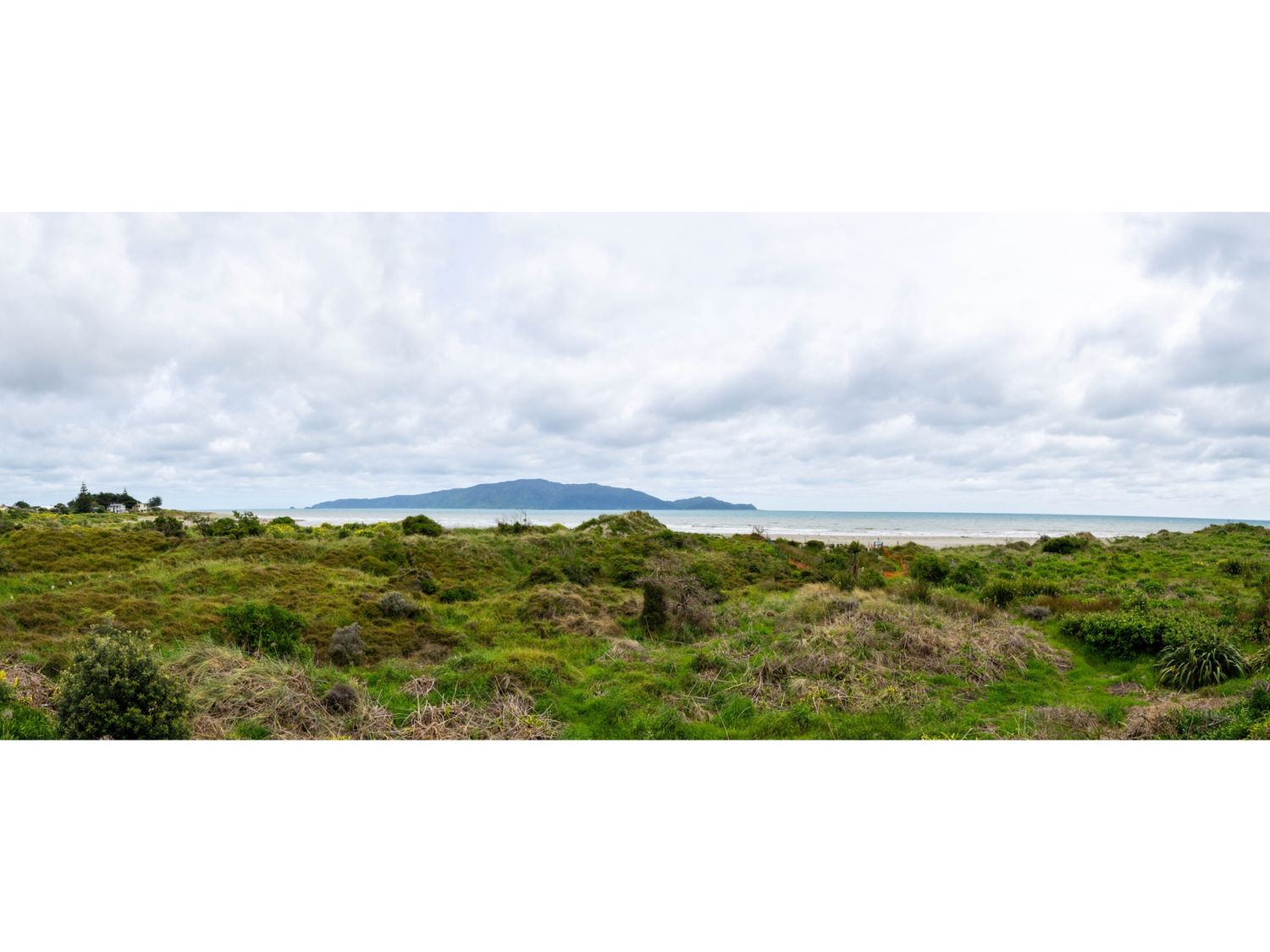 Hornbill Nest - Waikanae Beach Holiday Home                     photo 36