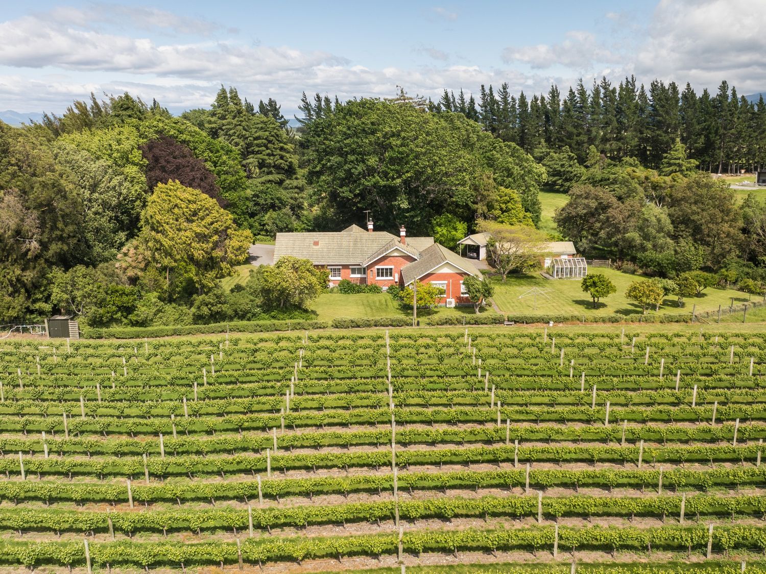Springfields Homestead - Rapaura Holiday Home                     photo 32