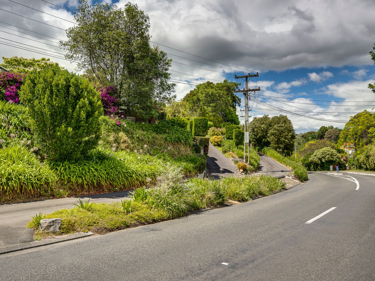 Village Life - Havelock North Retreat                     photo 28
