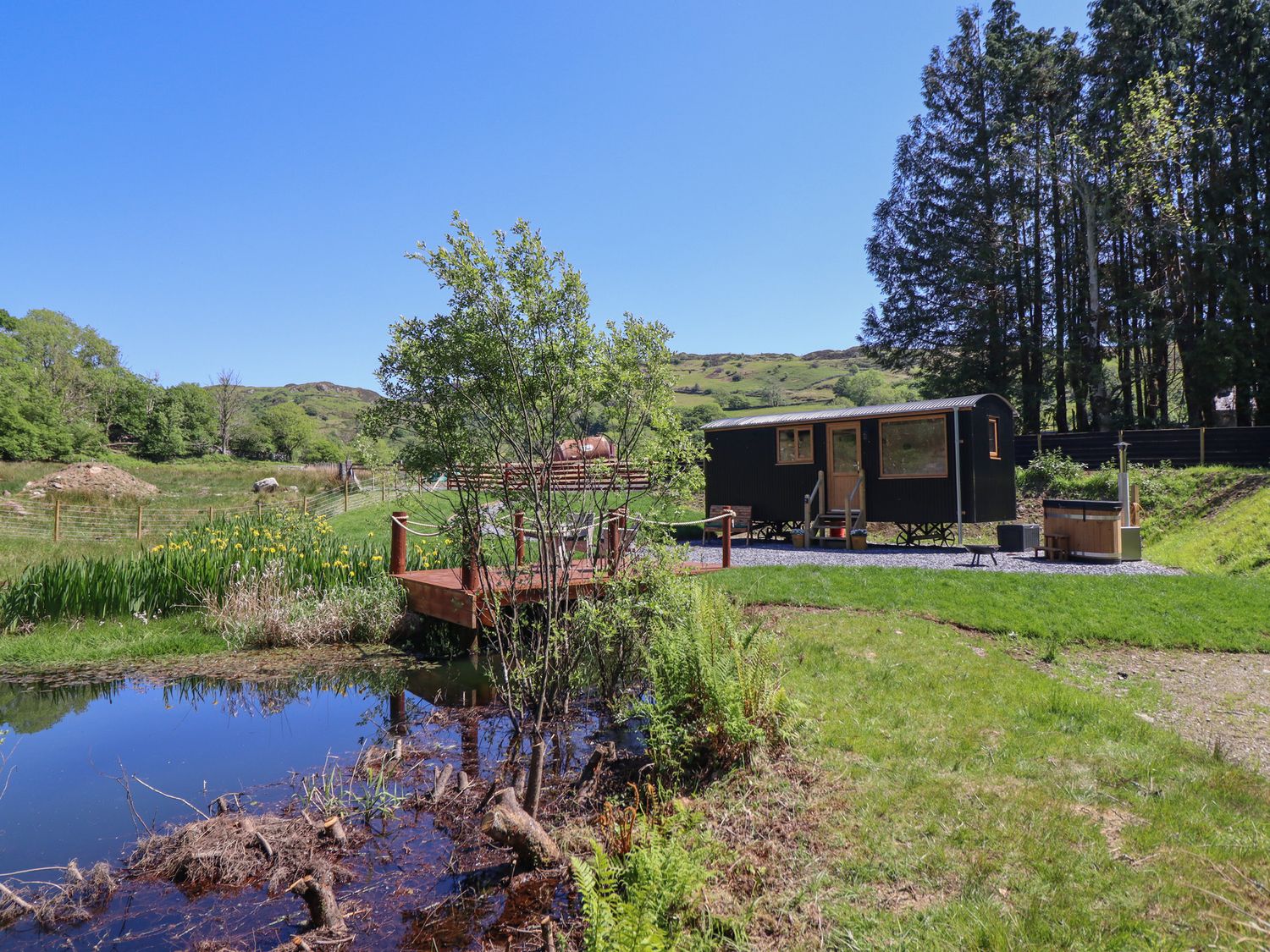 Celyn, Dolgellau