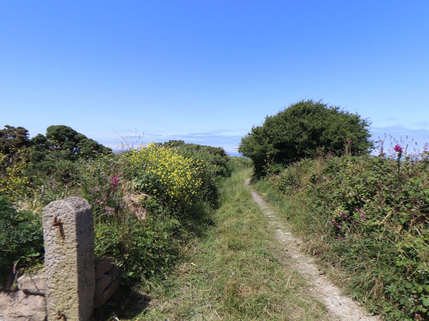 Little Victory, Pendeen