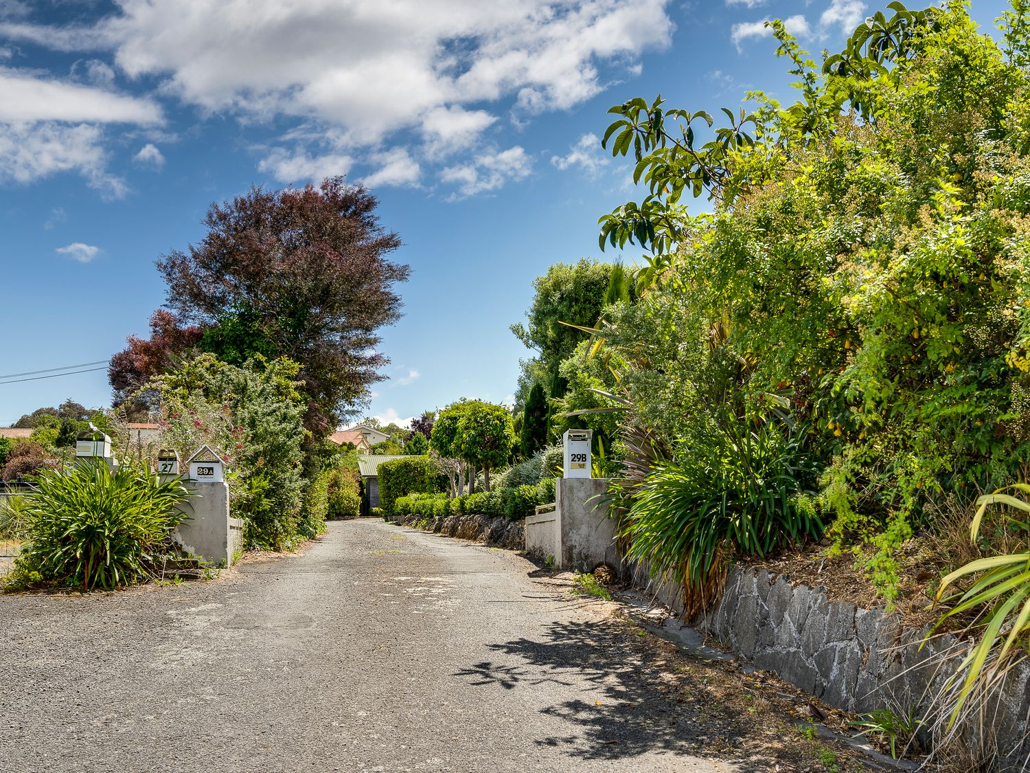 Sunny Oasis - Havelock North Retreat                     photo 30
