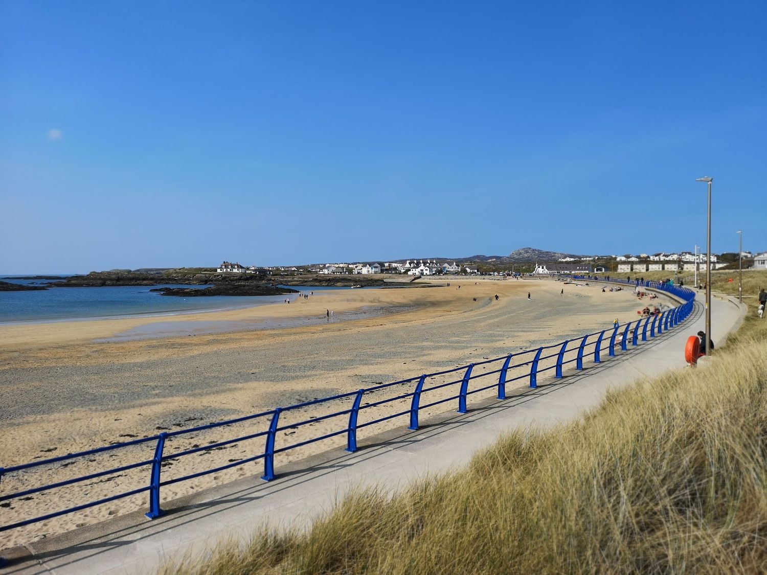 Seaddler, Trearddur Bay