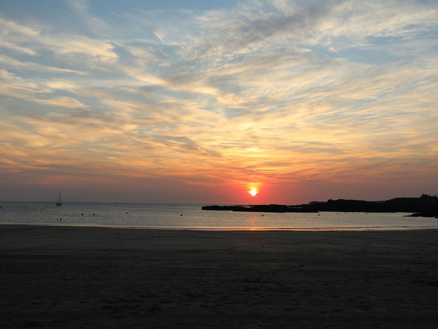 Seaddler, Trearddur Bay