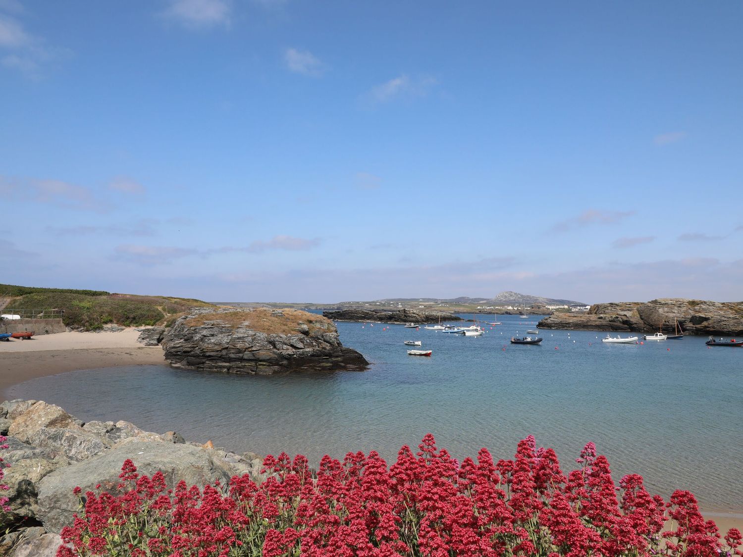 Seaddler, Trearddur Bay