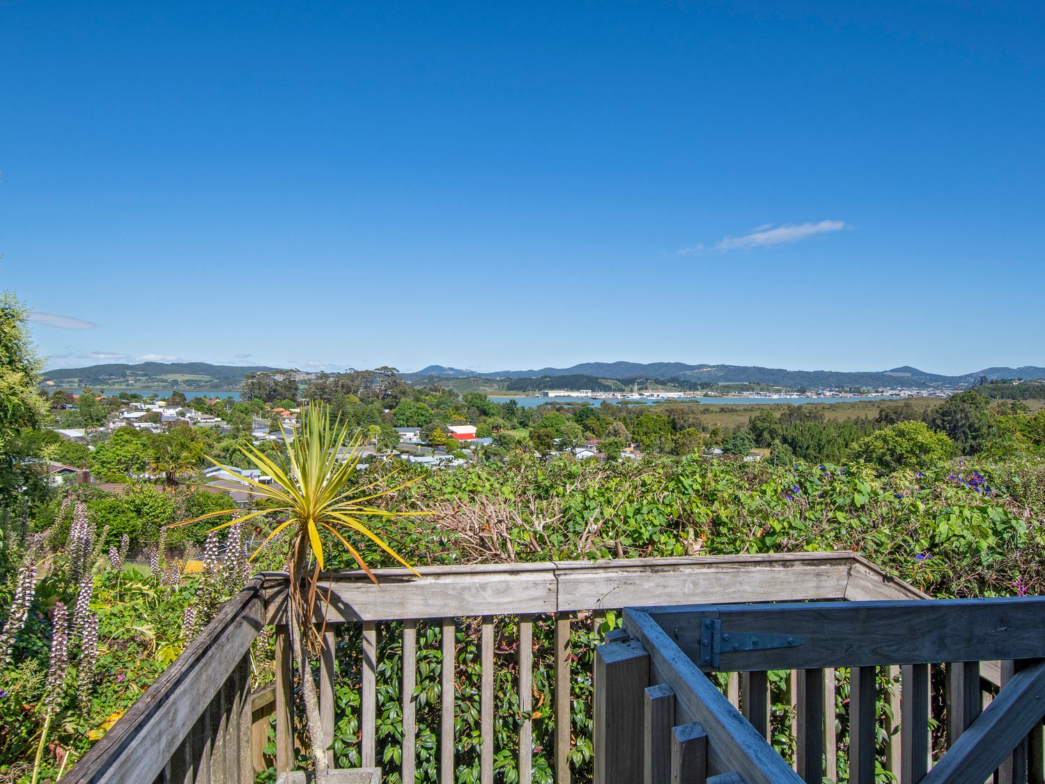 A wooden deck with a potted plant overlooking a residential area with trees and hills at A Hidden Gem - Whangarei Holiday Home in Whangarei