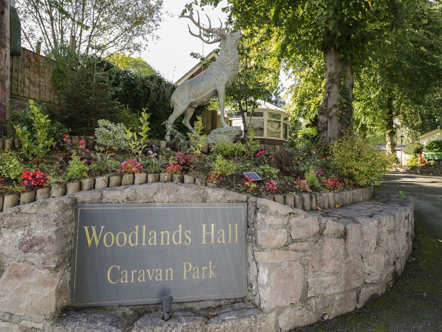Woodlands Gold (WO 41), Ruthin