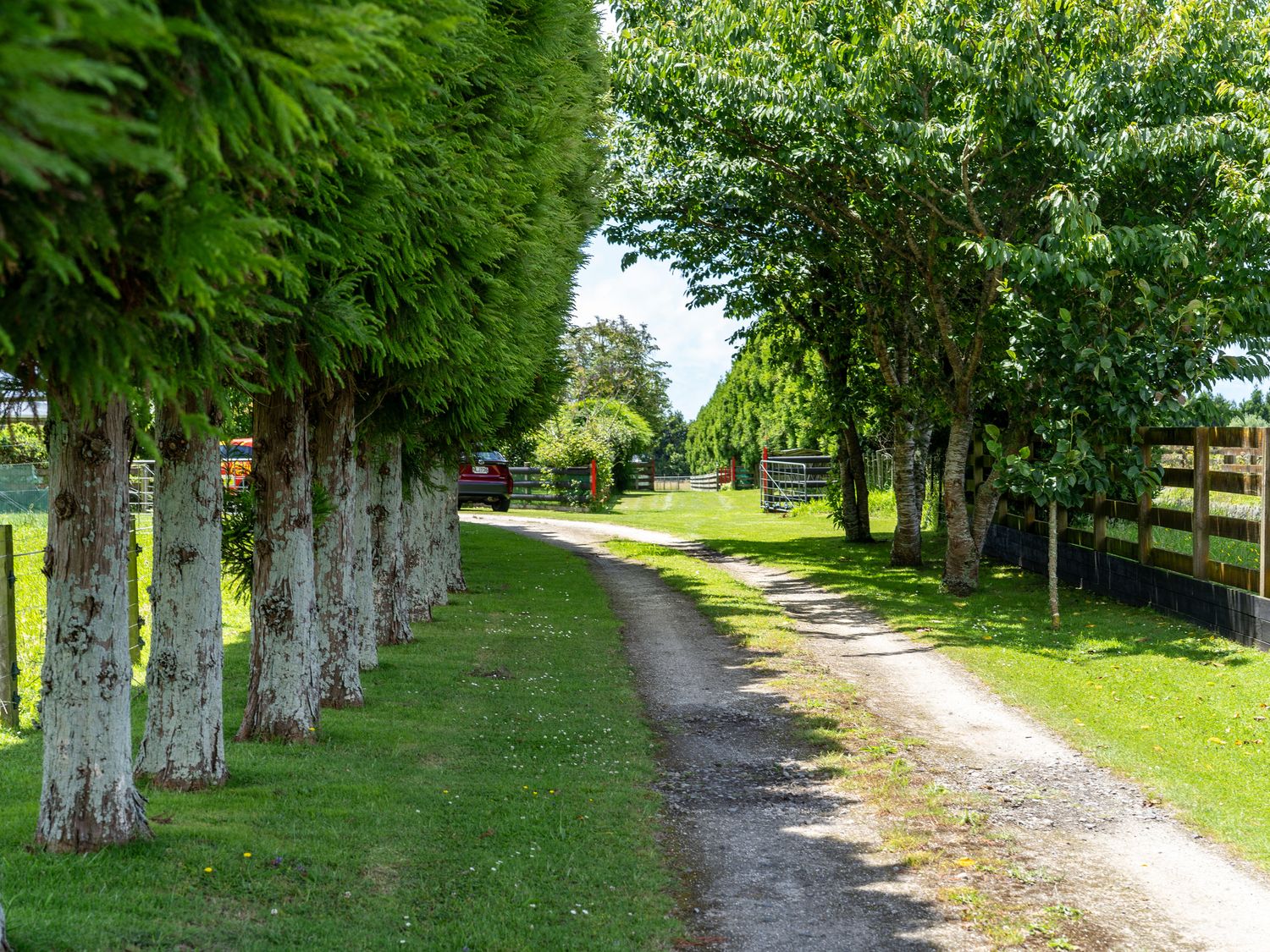 Onaeros Cute Little Cottages - Taranaki Retreat                     photo 44