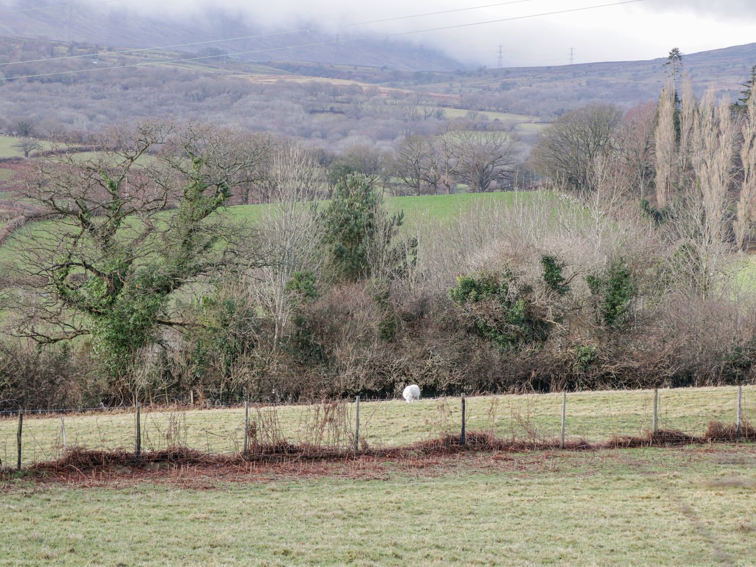 Yr Ysgubor, Conwy, North Wales. Hot tub. Woodburning stove. Smart TV. Enclosed garden. Pet-friendly.