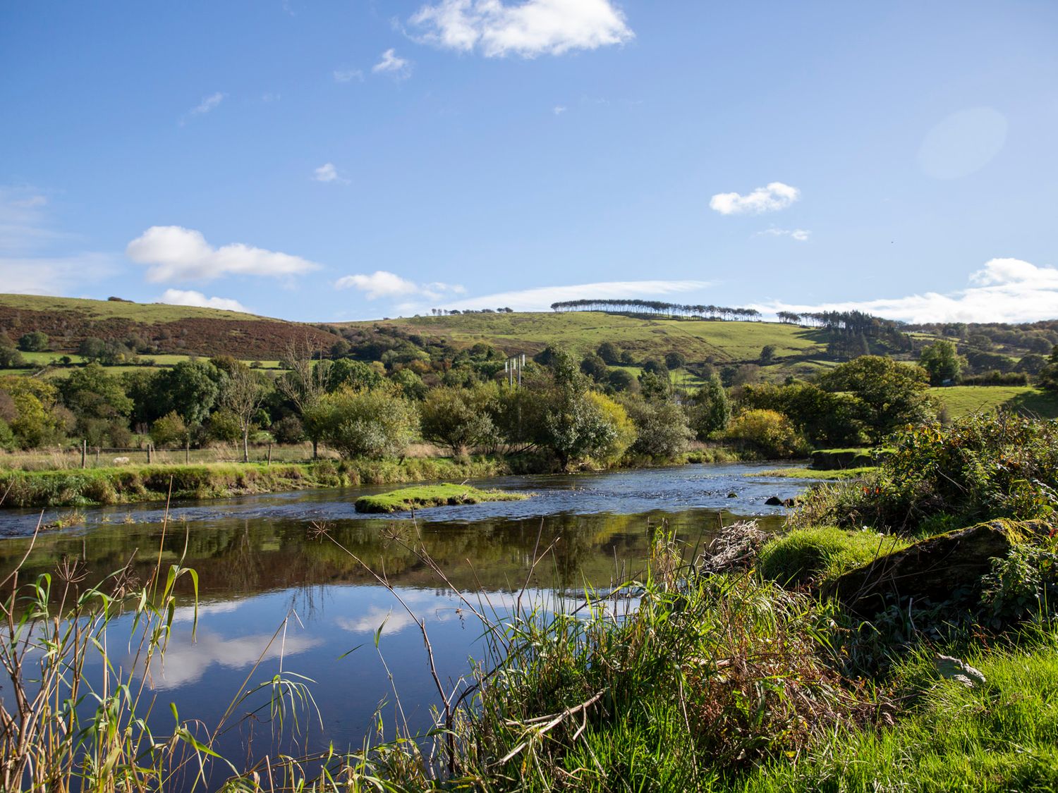 Ty Twt Teifi, Llanddewi-Brefi