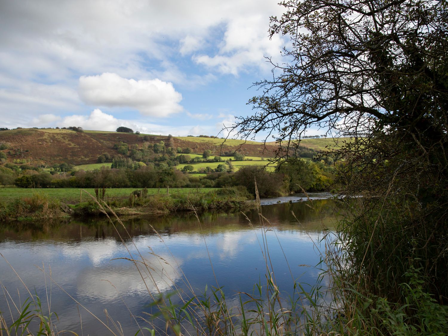 Ty Twt Teifi, Llanddewi-Brefi