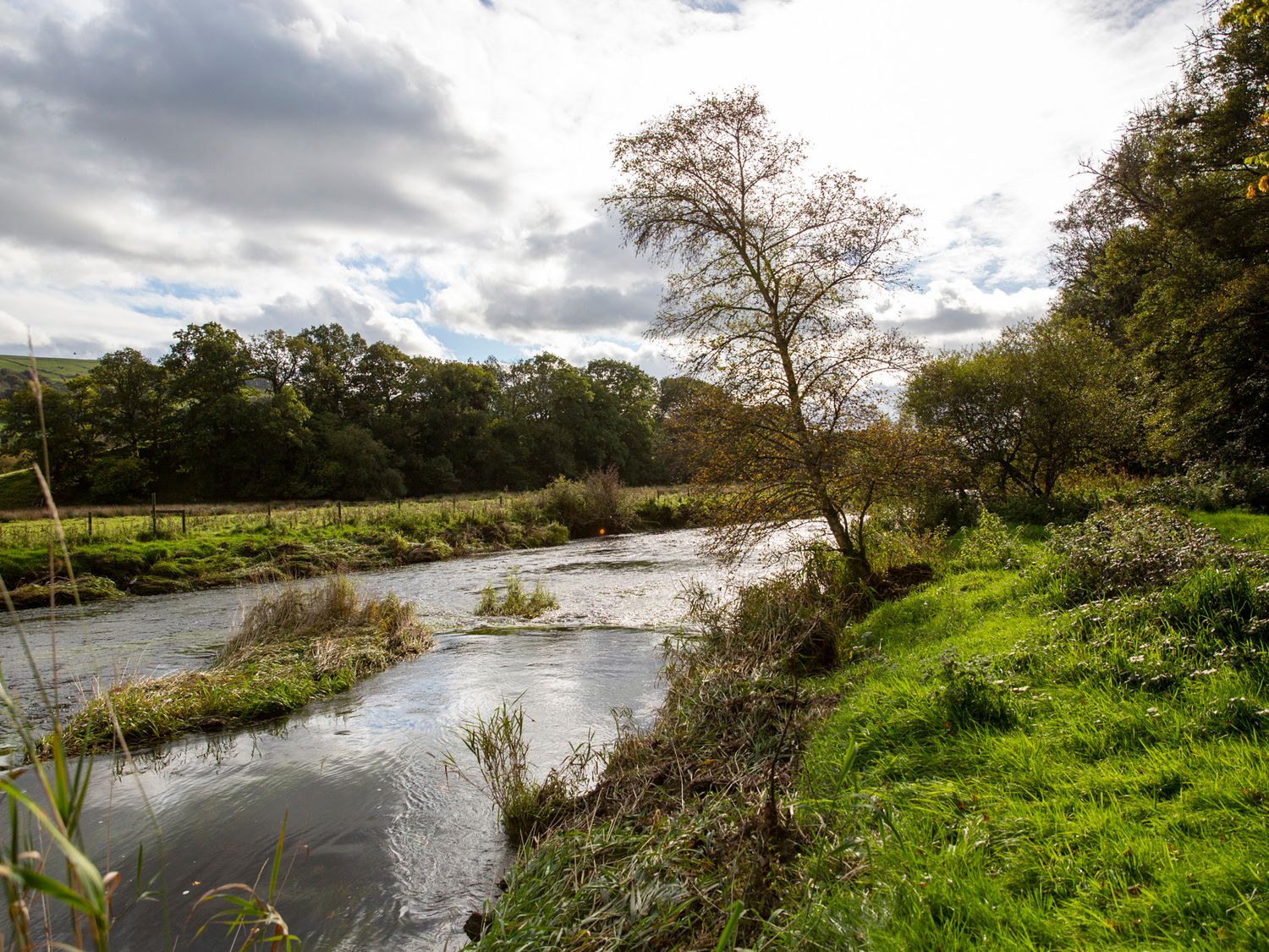 Ty Twt Teifi, Llanddewi-Brefi
