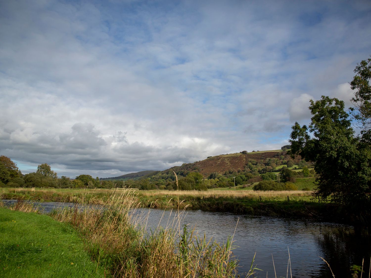 Ty Twt Teifi, Llanddewi-Brefi