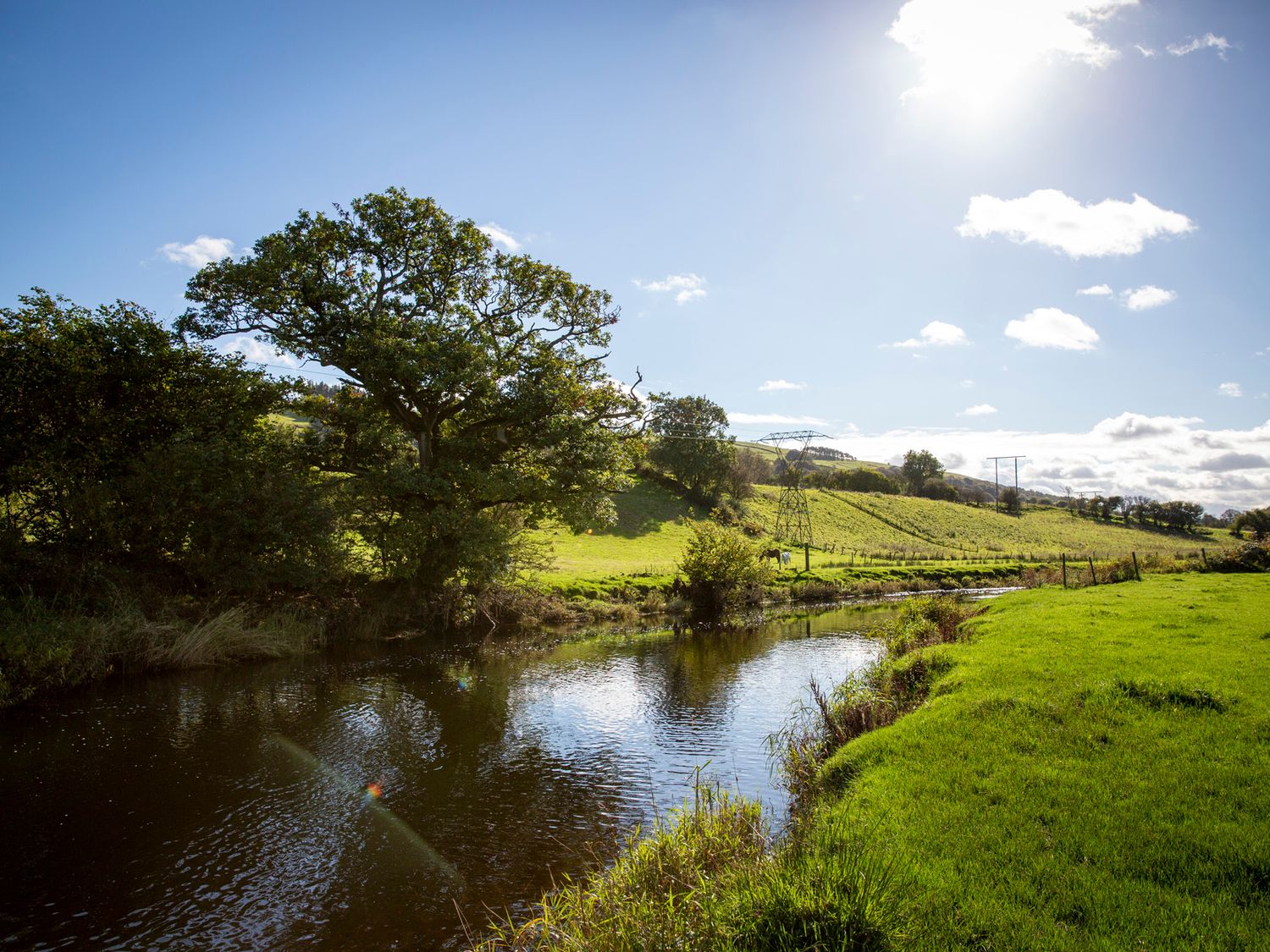 Ty Twt Teifi, Llanddewi-Brefi