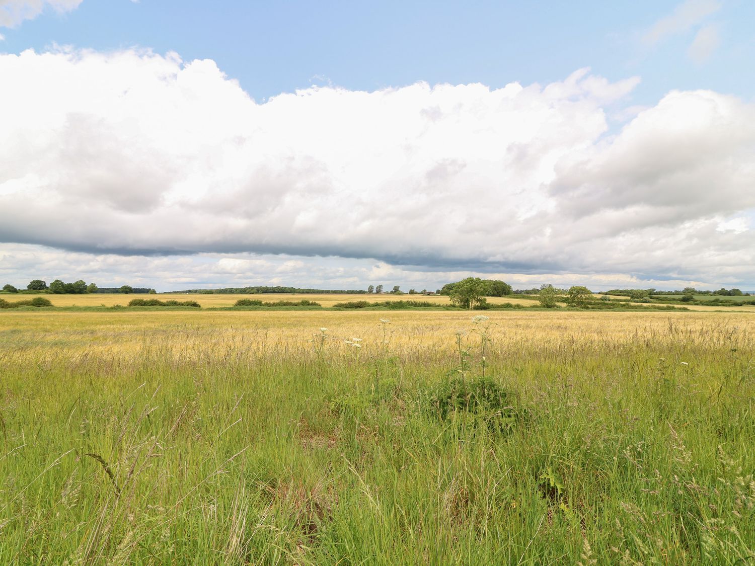Buzzard Barn, Woodhall Spa