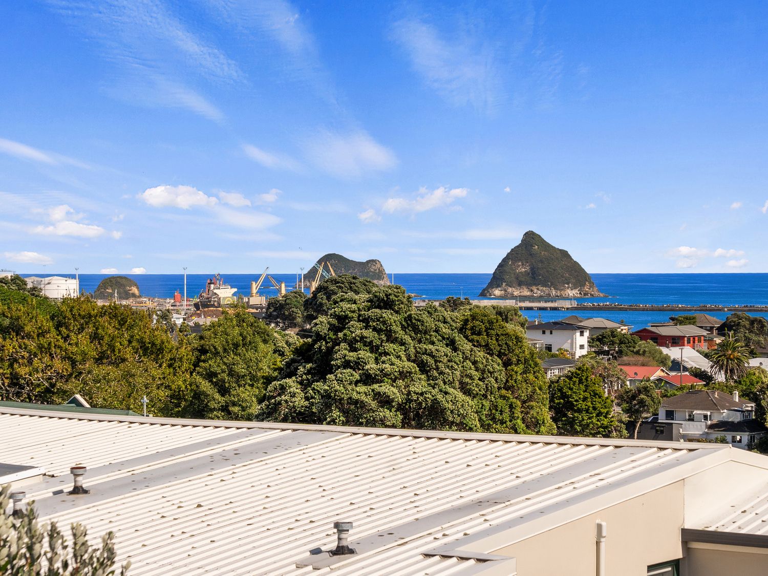 Seaside Weekender - New Plymouth Holiday Home                     photo 2