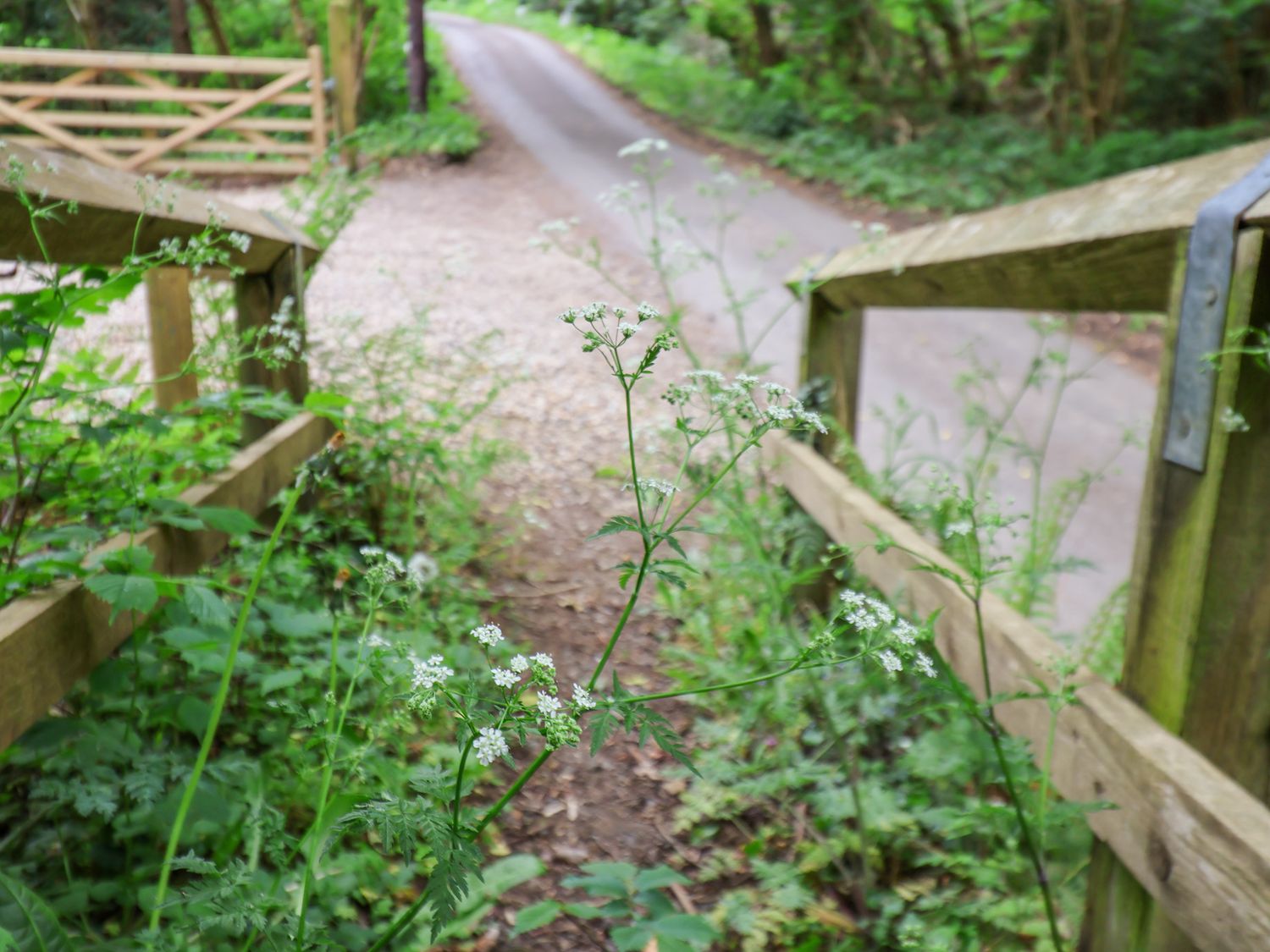 Roe Deer Lodge, Sleights