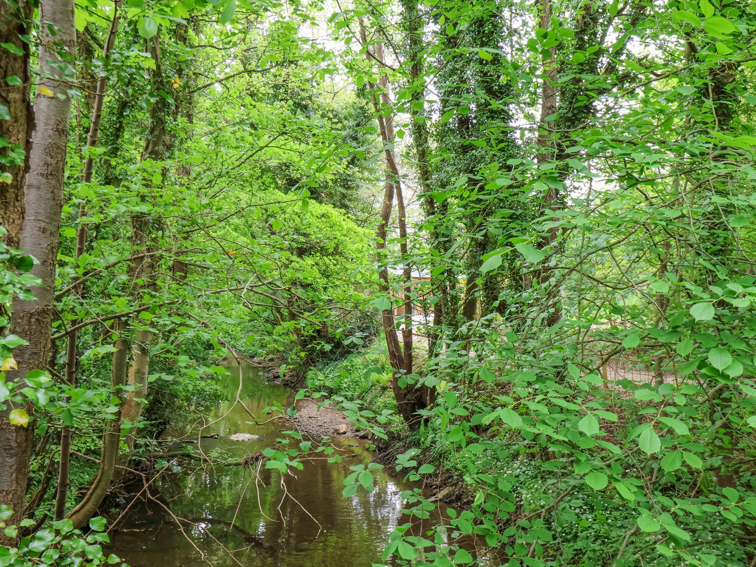 Roe Deer Lodge, Sleights