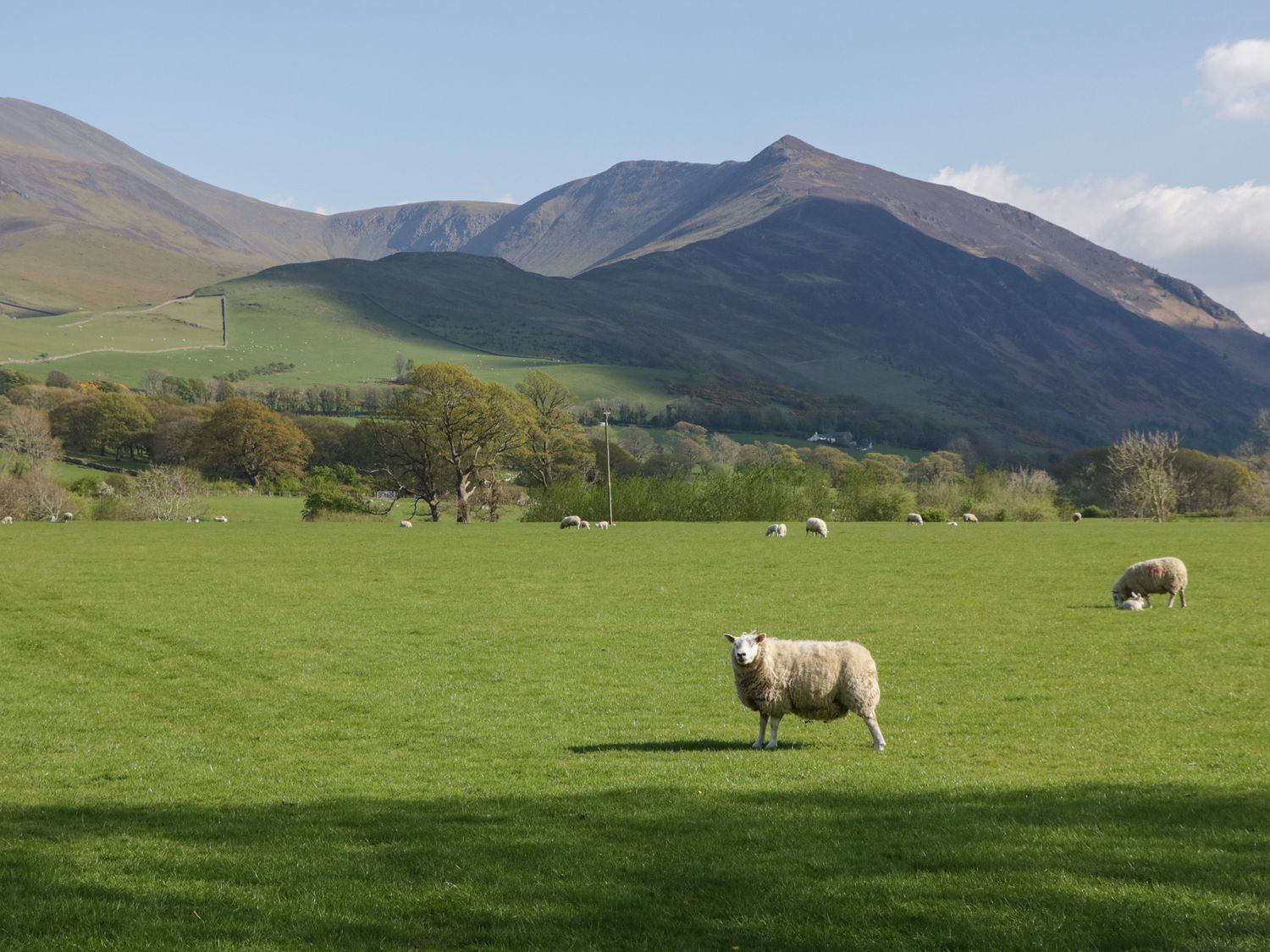 Hodge Luxury Pod, Keswick
