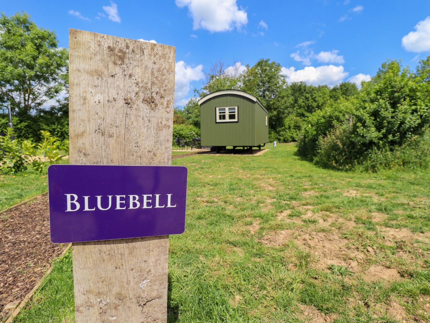 Bluebell, Waltham