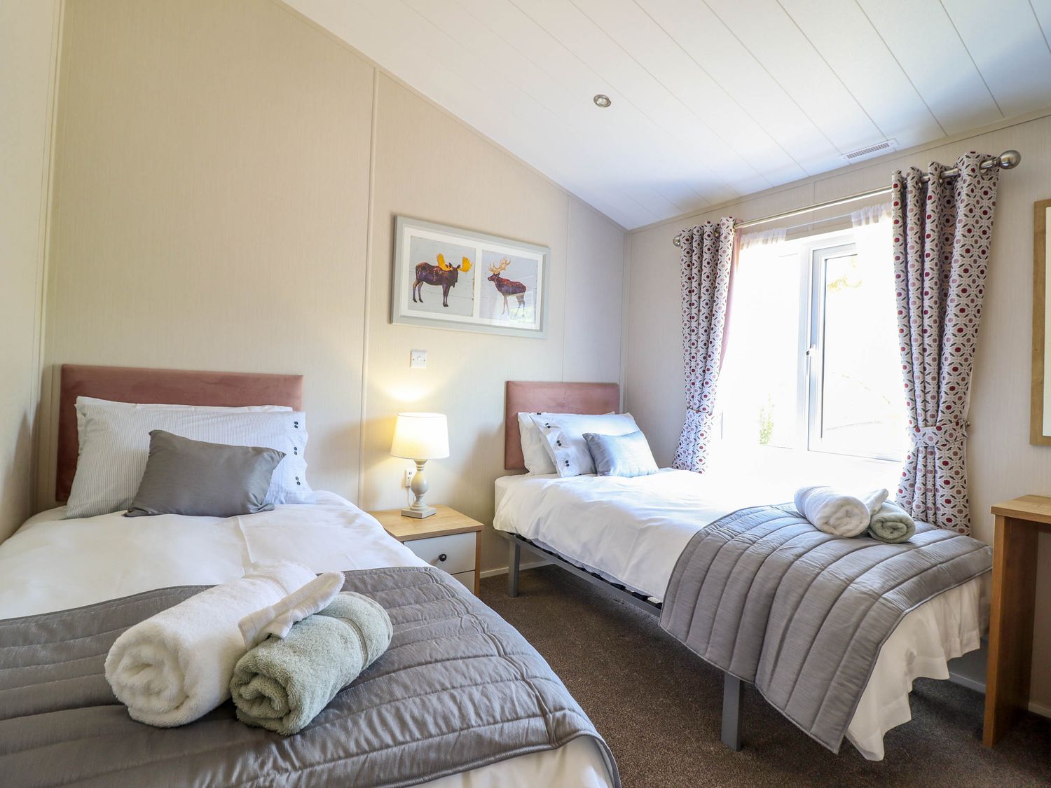 The Owlet, Llanidloes