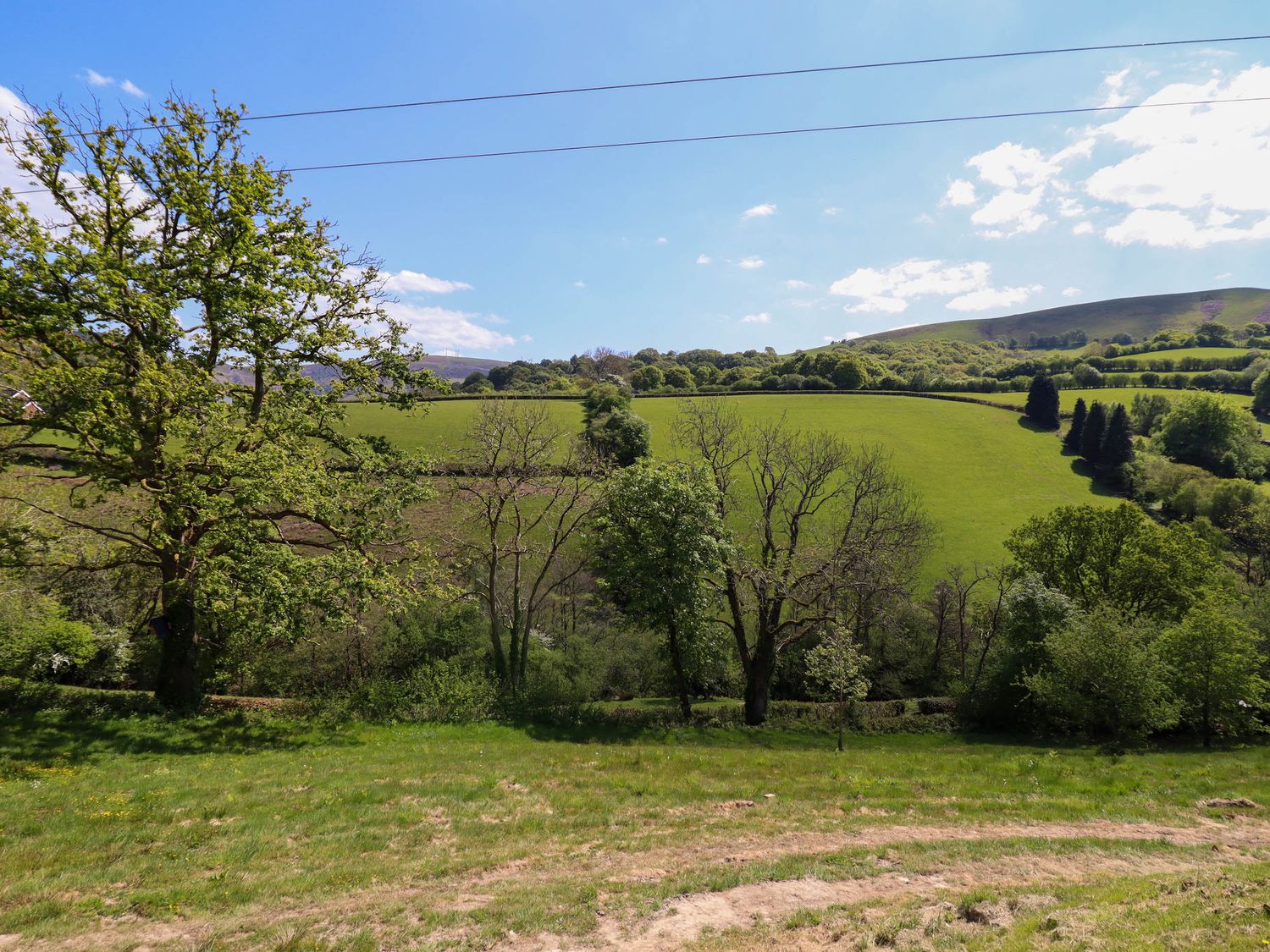 The Owlet, Llanidloes
