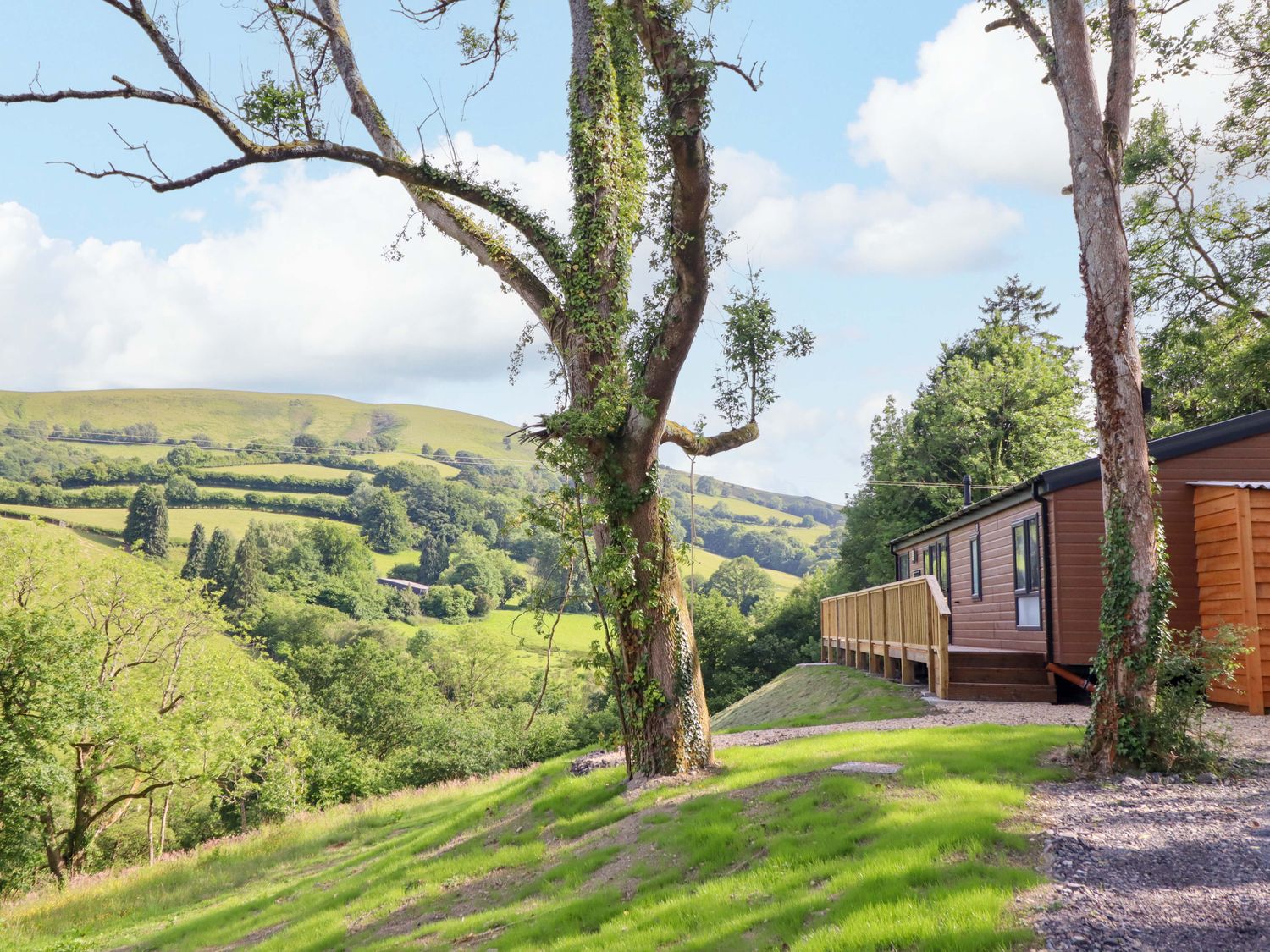 The Owlet, Llanidloes