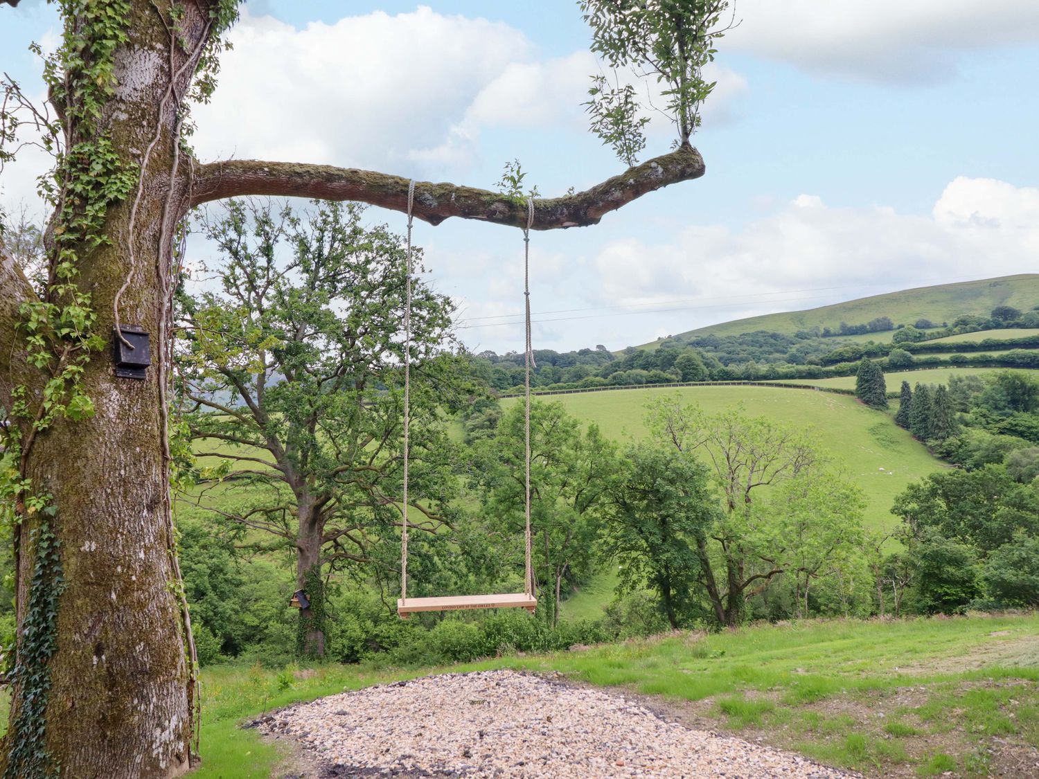 The Owlet, Llanidloes