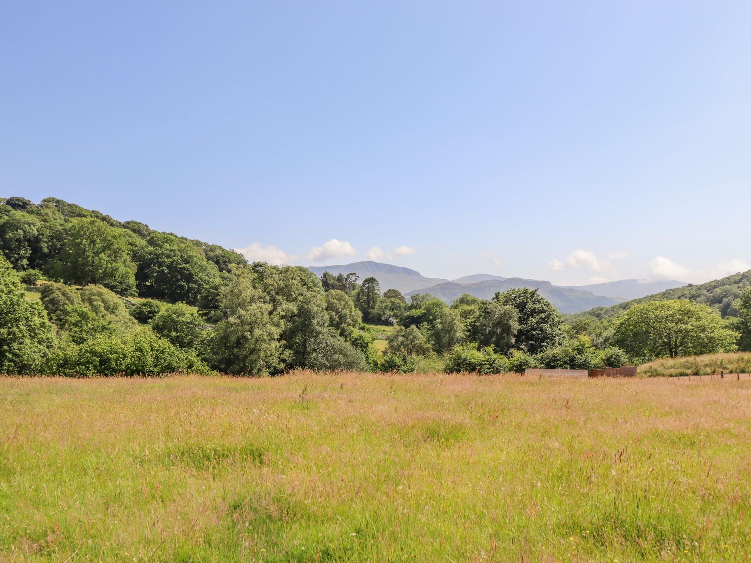 Eirlys, Dolgellau