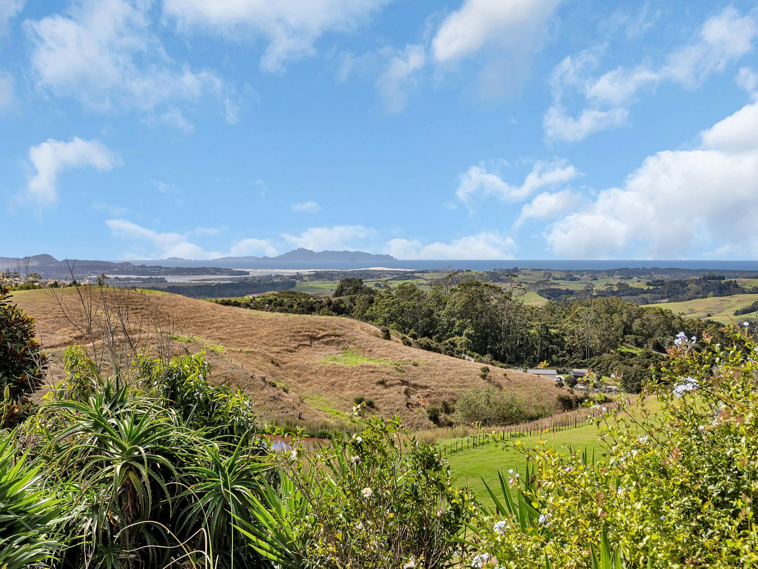 Rural Retreat - Mangawhai Holiday Home                     photo 2