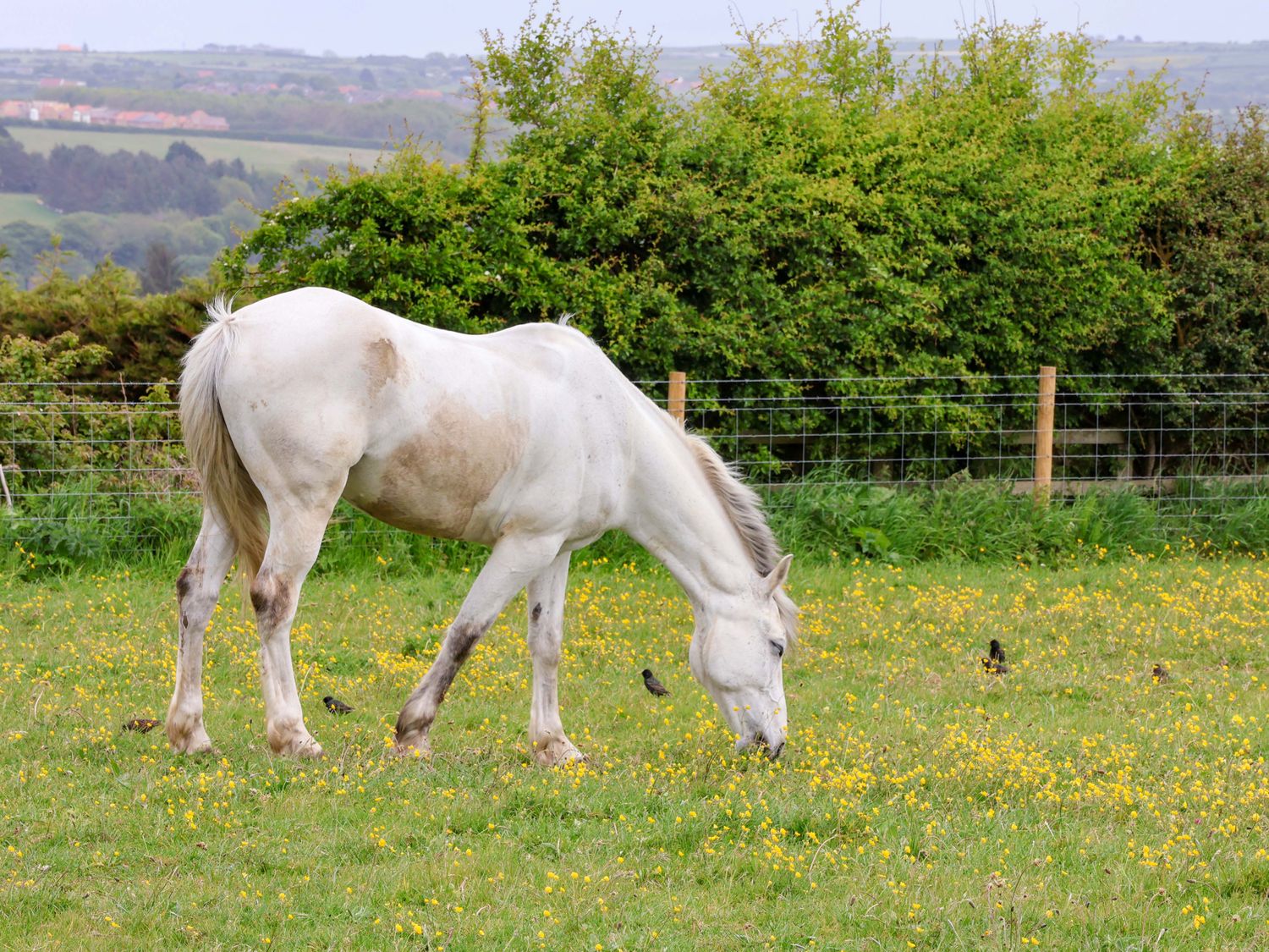 Crossbutts Farmhouse, Whitby
