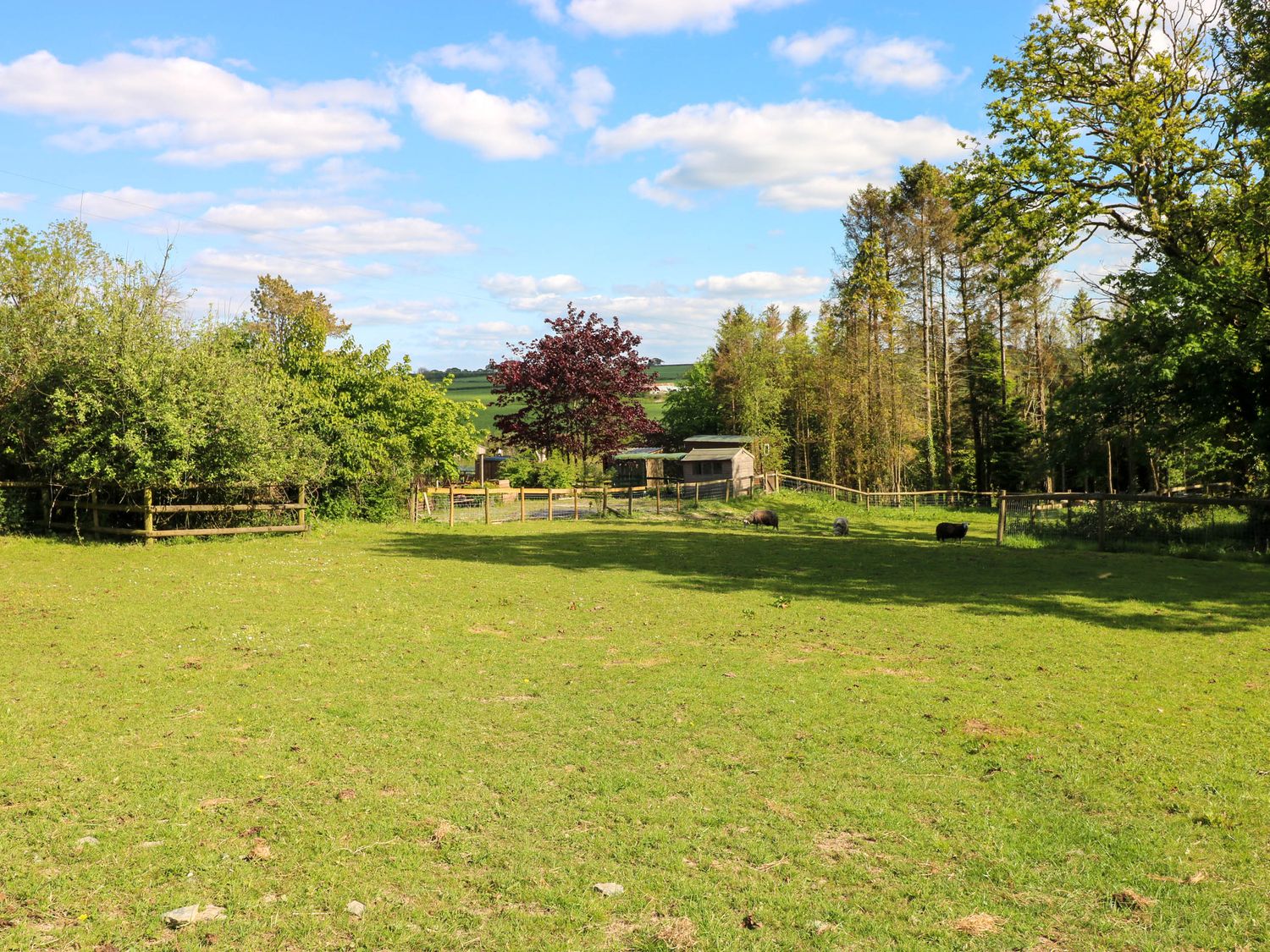Caravan Bryngwyn, Boncath