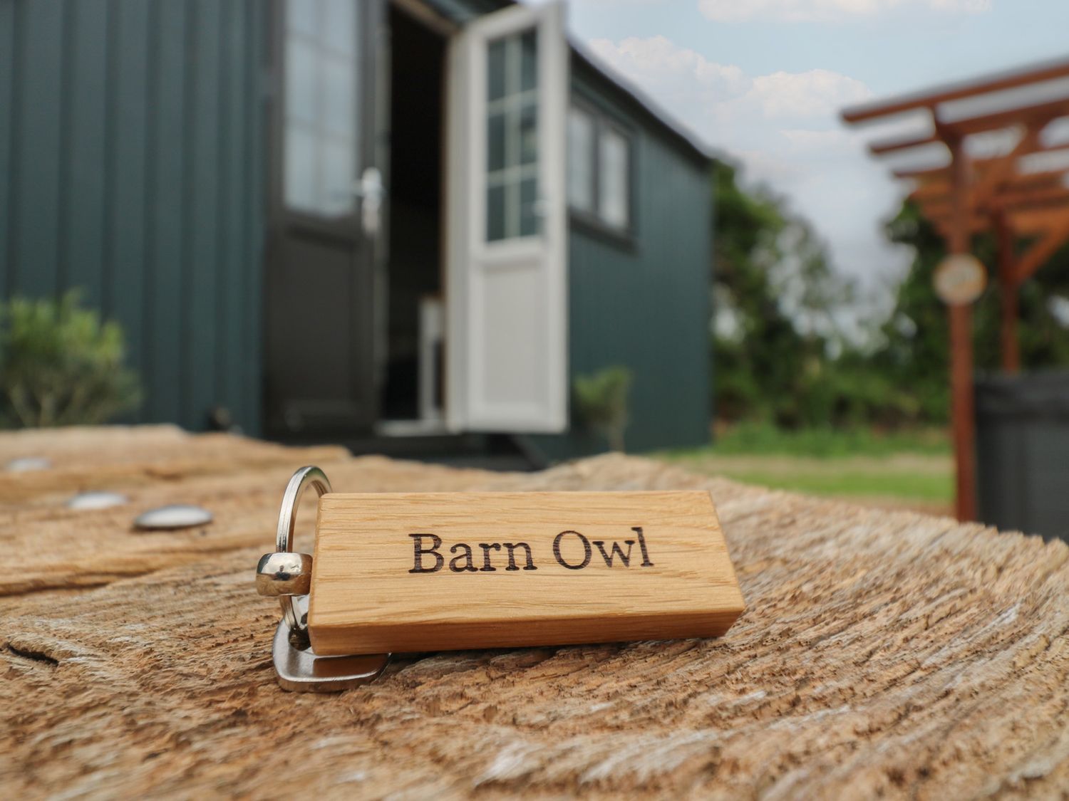 Barn Owl, Bottisham
