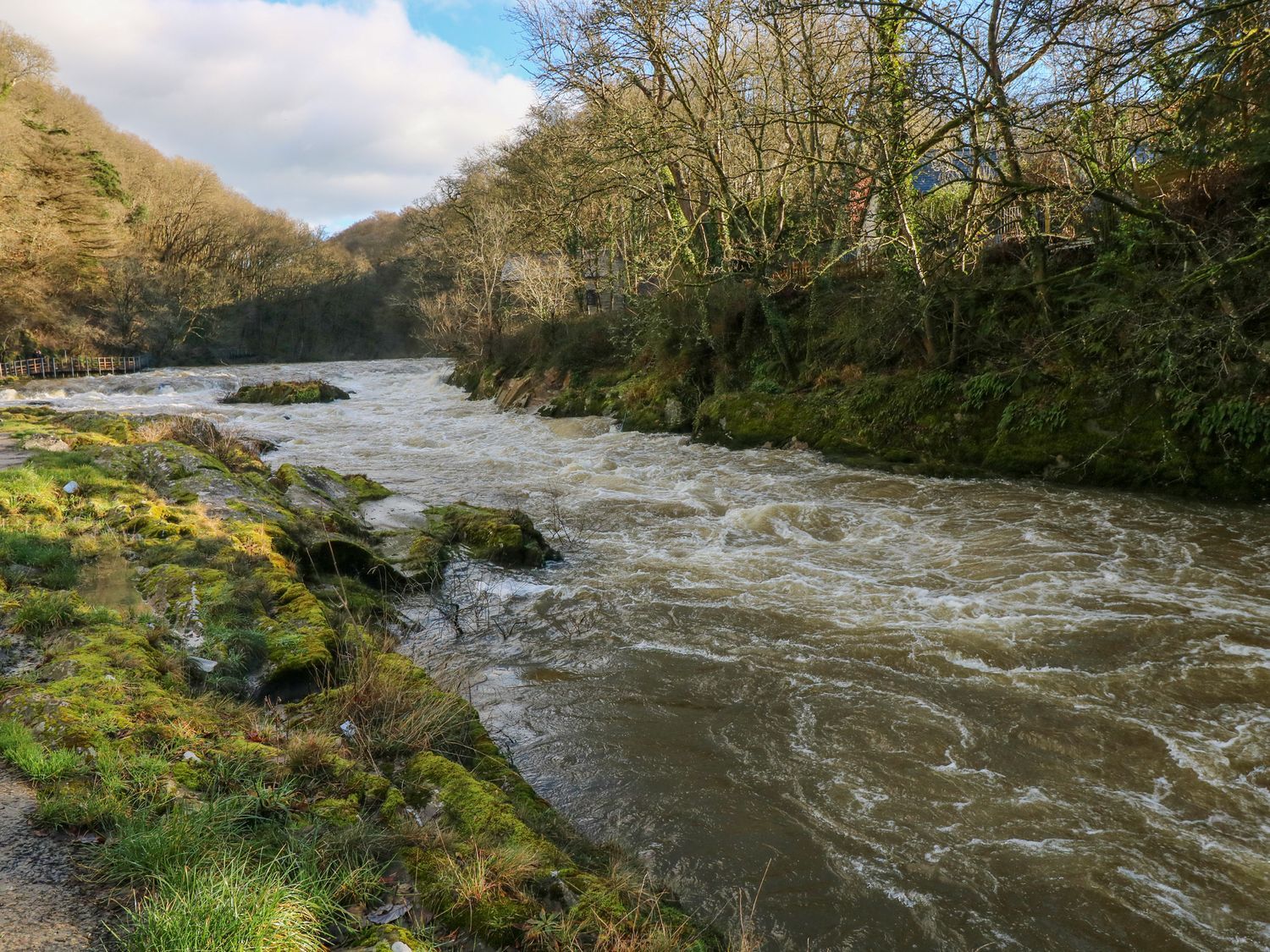 Hafan Y Gof, Cenarth