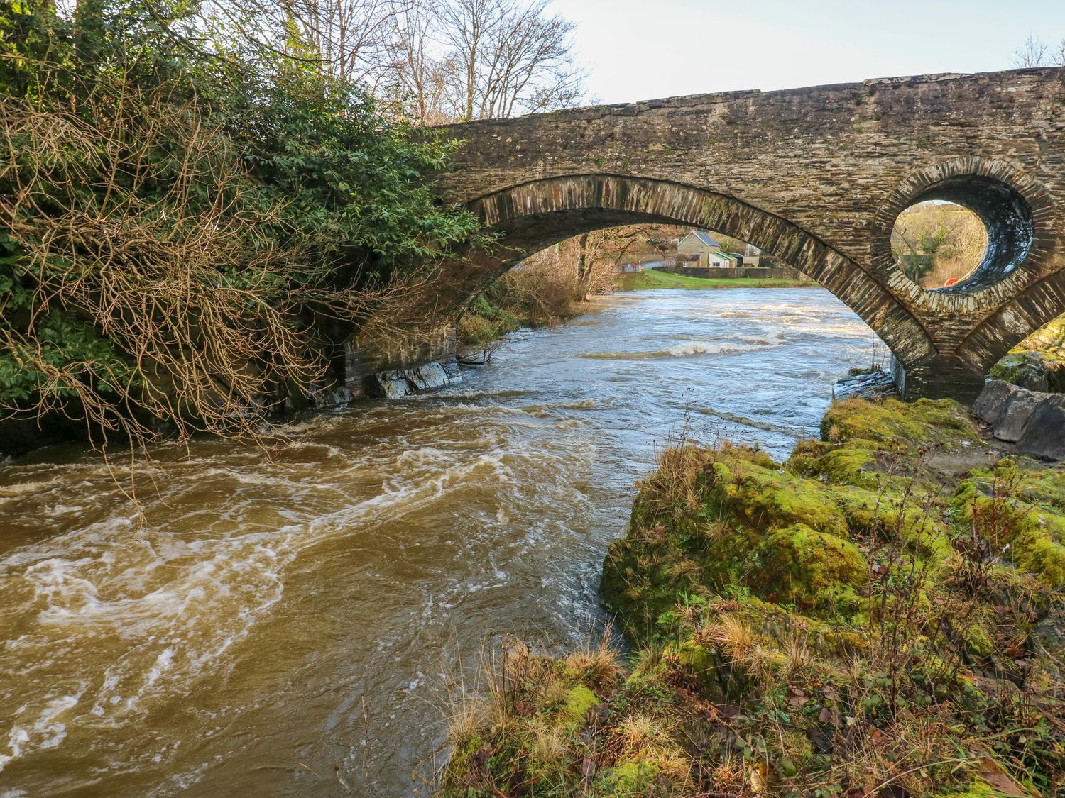 Hafan Y Gof, Cenarth