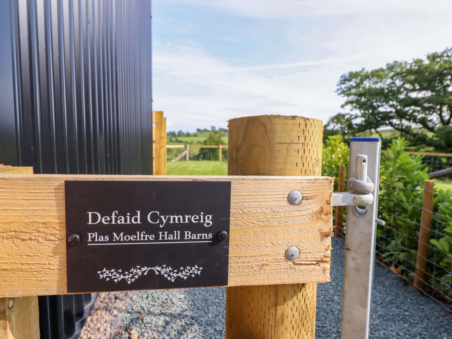 Defaid Cymreig, Oswestry