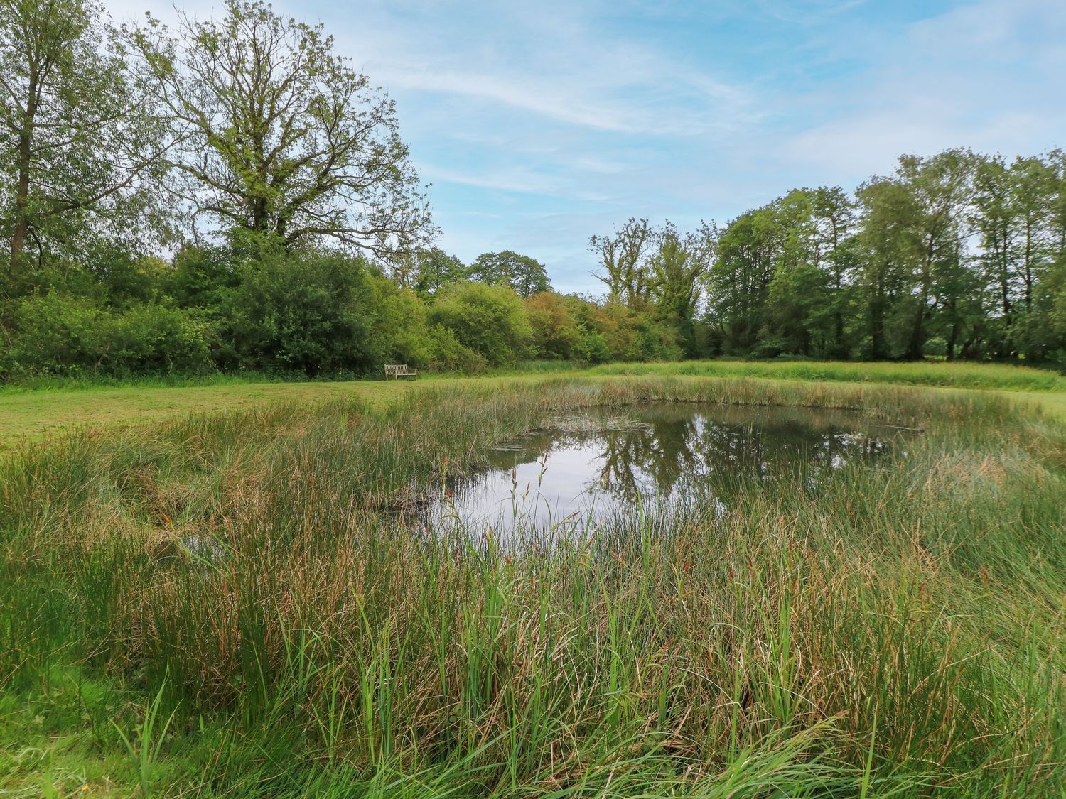 Silver Copse, Abingdon