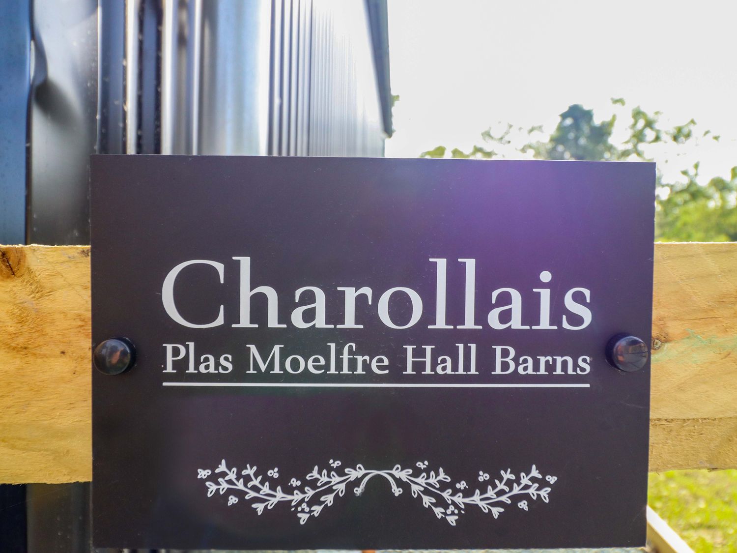 Charollais, Oswestry