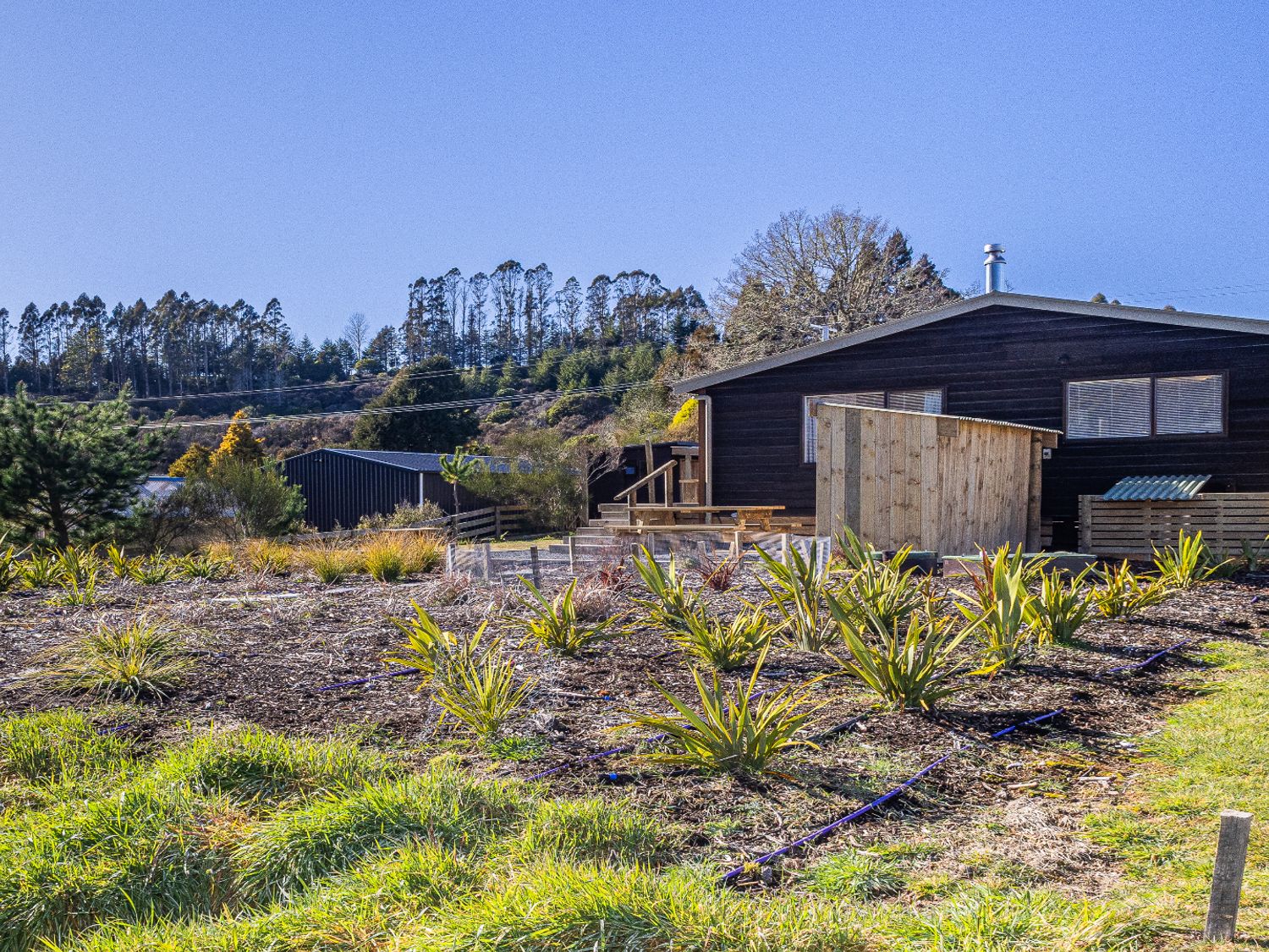 A house with garden and plants at Railside Chalet - Raurimu Holiday Home National Park