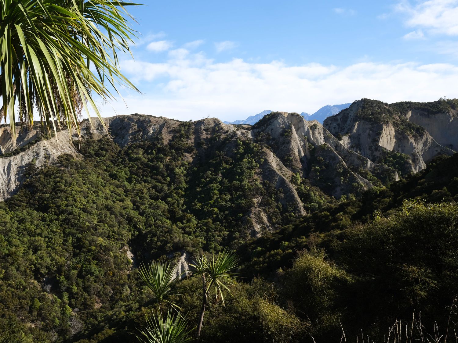 A view of mountains and trees at The Shearers Quarters Clarence Farmstay Kaikoura