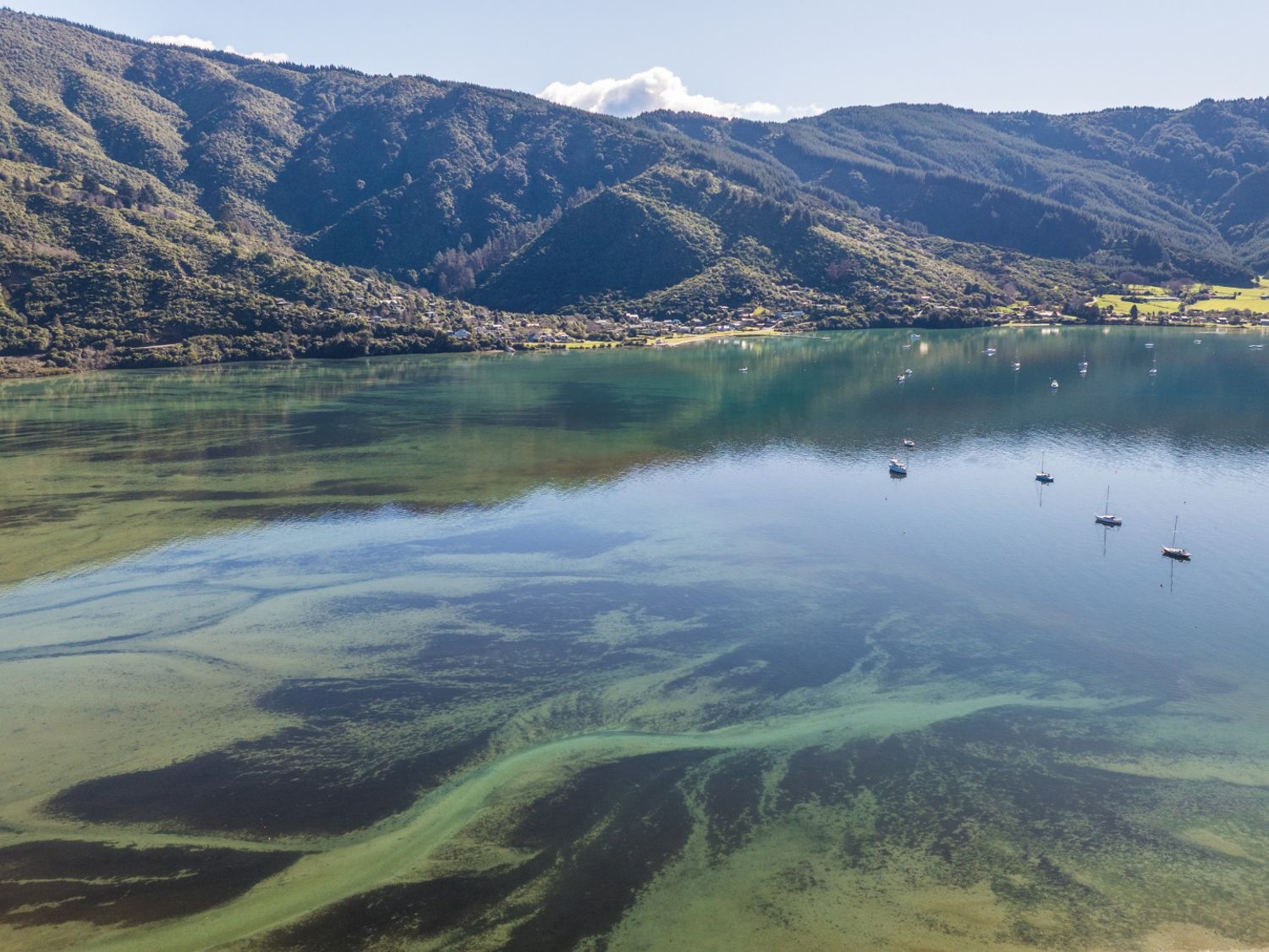 A view of water and boats near mountains at Koraha Serenity - Linkwater Holiday Home Marlborough