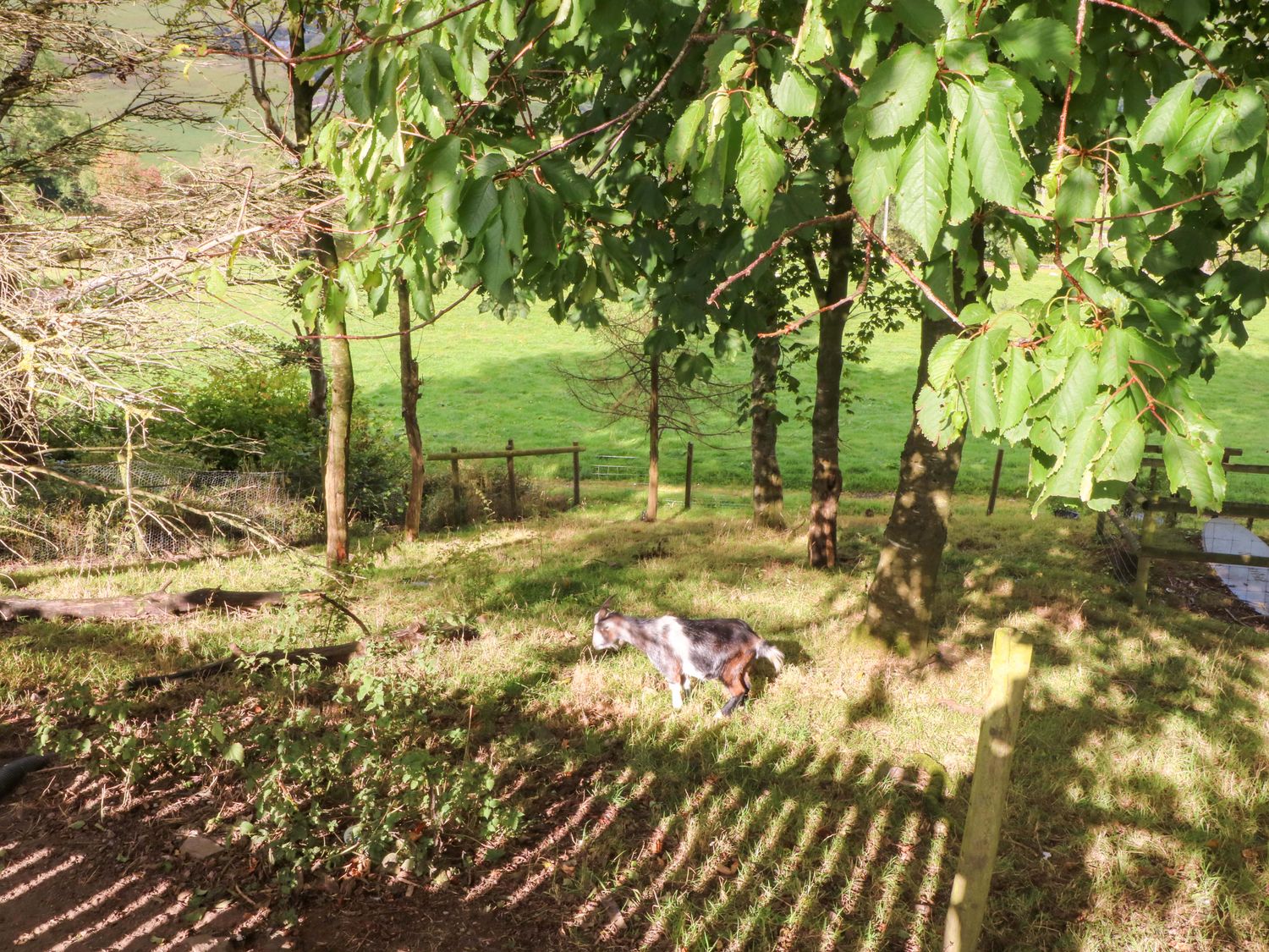 The Old Shippon Image 15