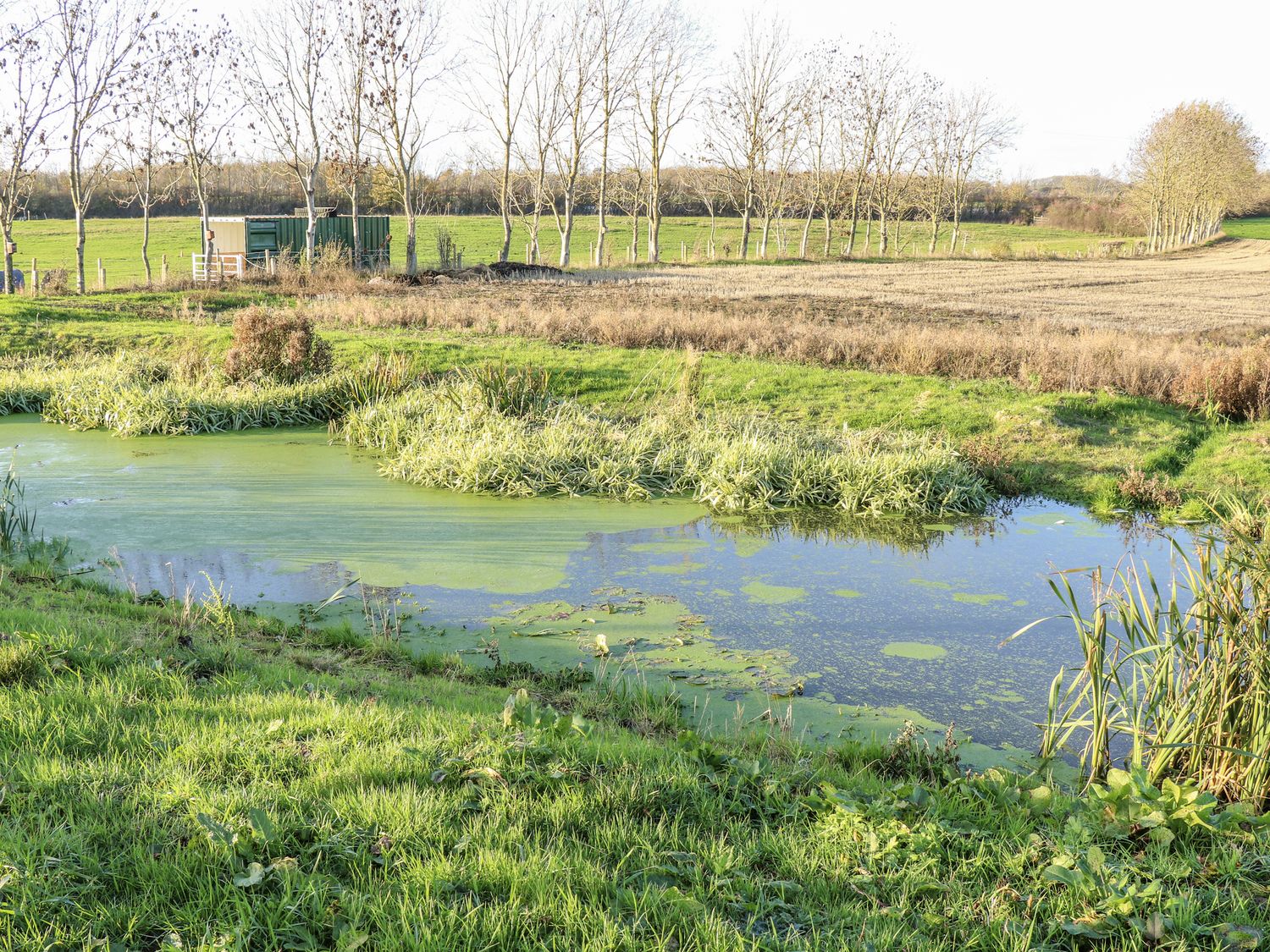 The Robins Nest, Wintersett