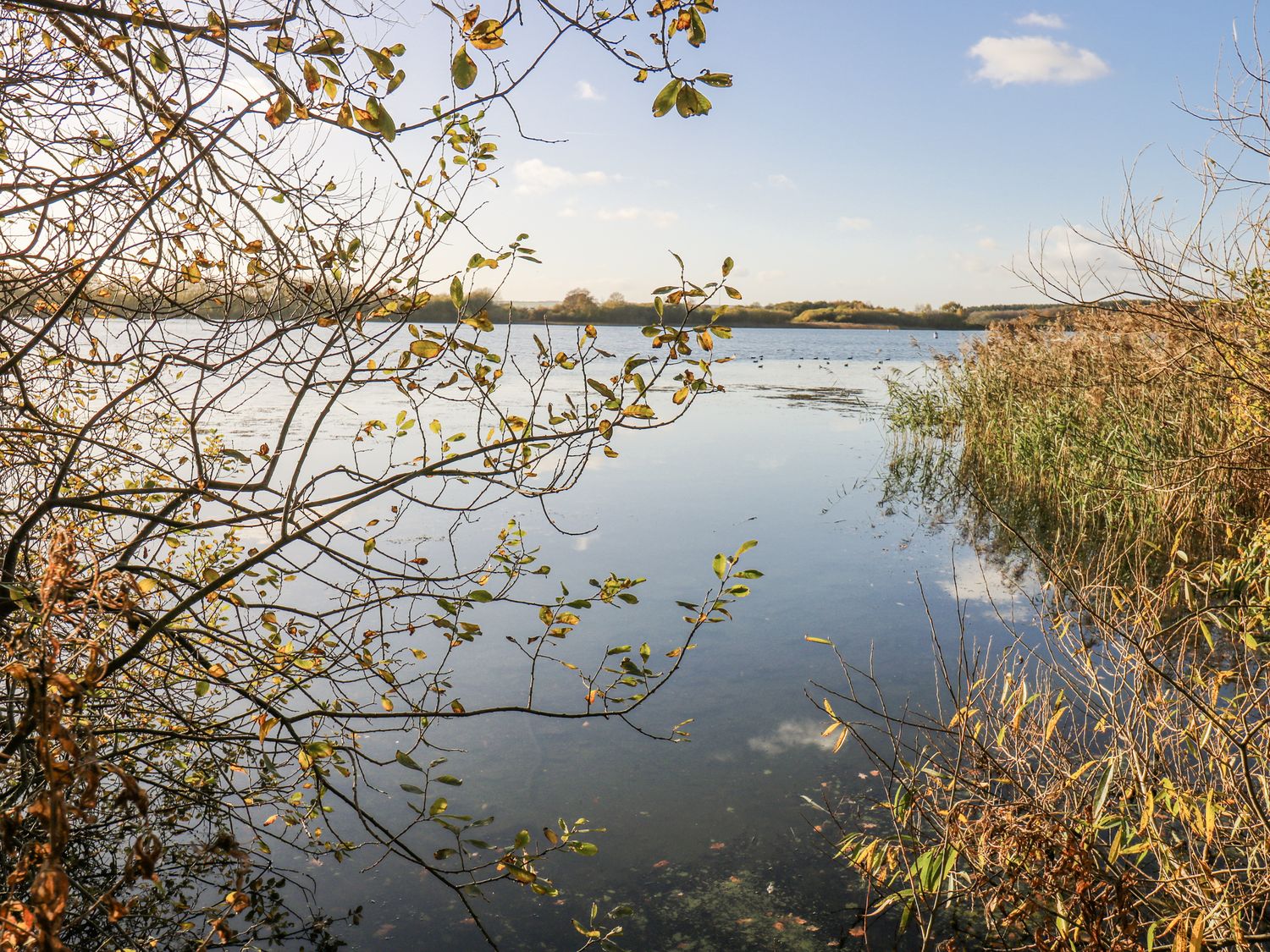 The Robins Nest, Wintersett