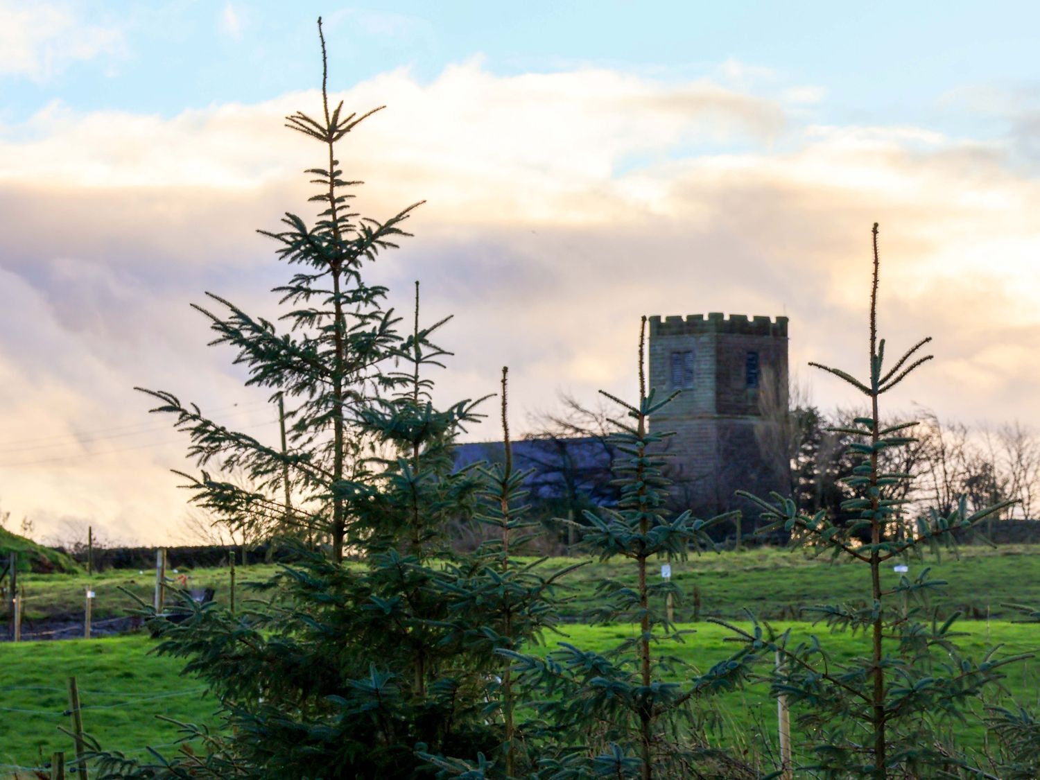 Rosefinch Cabin, Scarborough