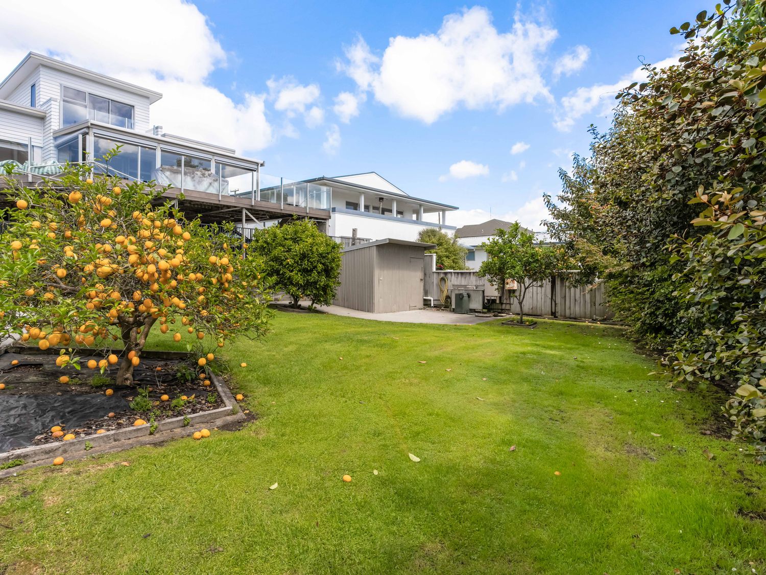 A garden with a tree and shed at Happy Place - Waihi Beach Holiday Home Waihi Beach