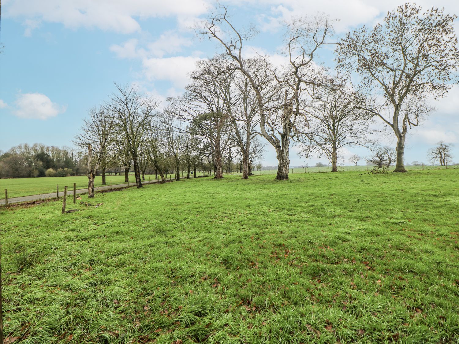Courtyard View, Ashbourne