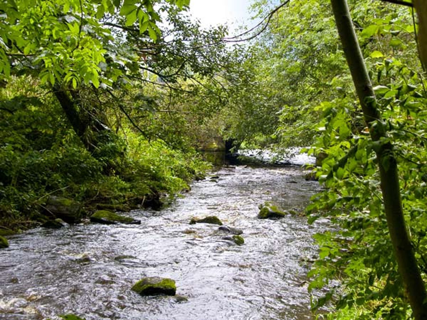 Bridge Cottage, Northumbria