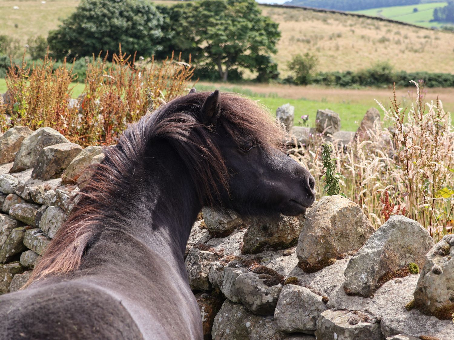 Granary Cottage, North York Moors And Coast